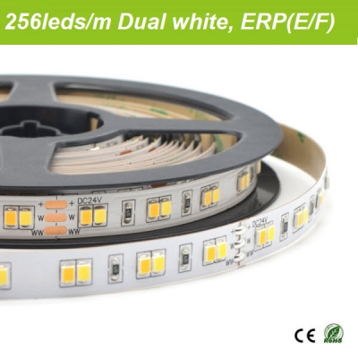 24V dual white led tape 256led