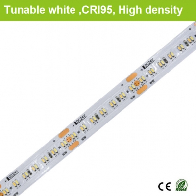 CRI95 Tunable white strips