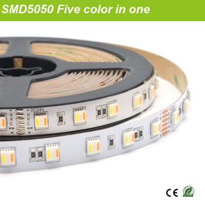 SMD5050 RGBww led strip