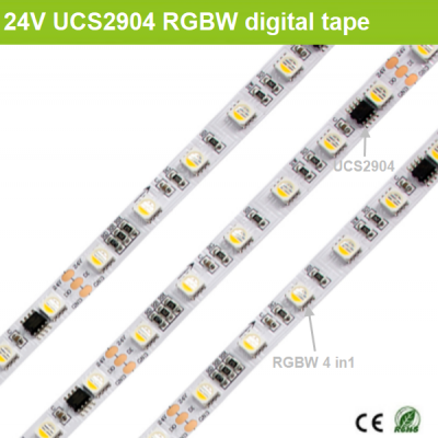 24V UCS2904 Digital RGBW